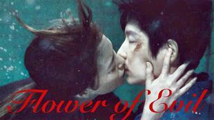 玫瑰的救赎,爱与救赎的交织之旅