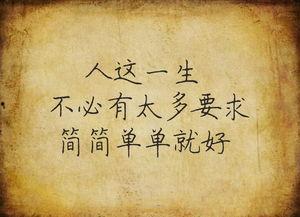 一生何求,探寻人生价值与追求的旅程