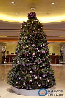 我最喜欢的圣诞树,揭秘我最爱的节日之选