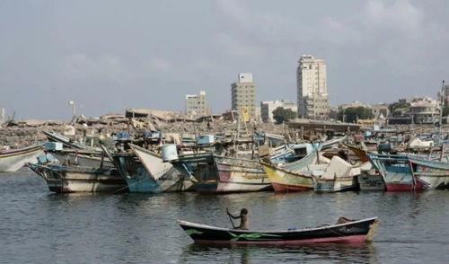 港口来的孩子,探寻异乡少年的成长轨迹