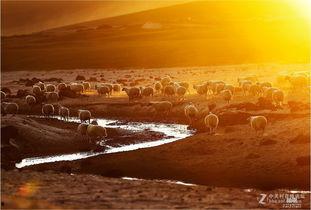 别把短剧当现实(残阳亦要暮景),揭秘残阳亦要暮景中的短剧真相