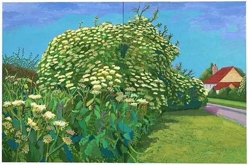 霍克尼,色彩与线条交织的艺术传奇