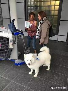 硬核幼崽通古今，我带黑科技救娘亲,黑科技助力拯救娘亲传奇